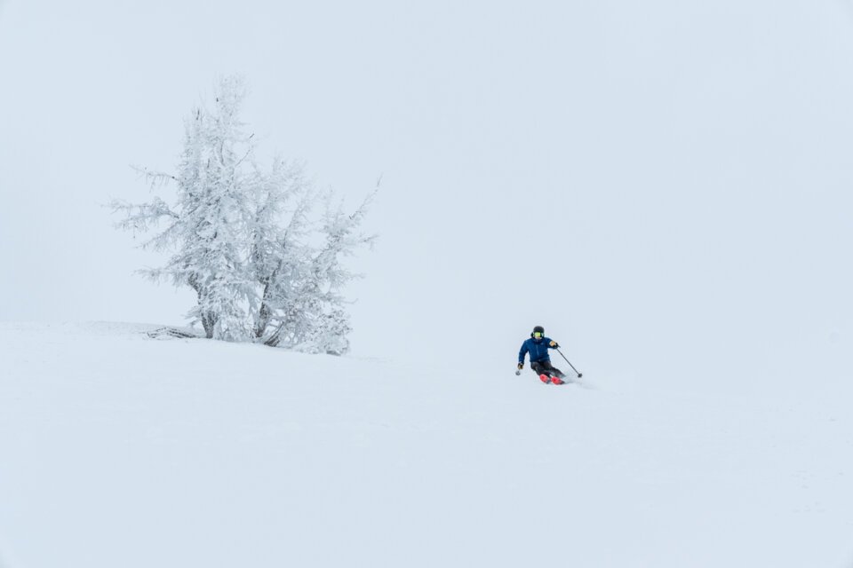 Skifahrer neben vereistem Baum in verschneiter Landschaft.