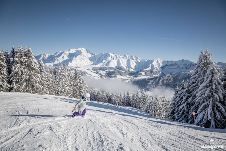 © Simon Garnier © Simon Garnier