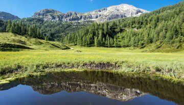 Flachauwinkl Sommer | © bergbahnen@zauchensee-amade.at