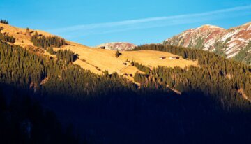 Hochkrimml-Gerlosplatte Sommer | © https://www.flickr.com/photos/greg_men/