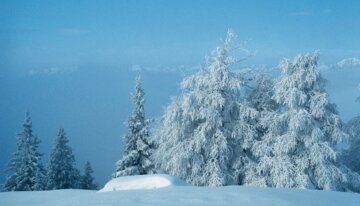 Mutters Winter | © ©Tirol Werbung / Umfahrer Peter