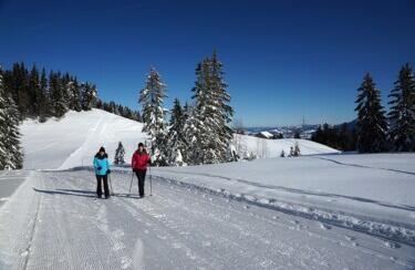 Skiverleih Im Bregenzerwald Intersport Rent