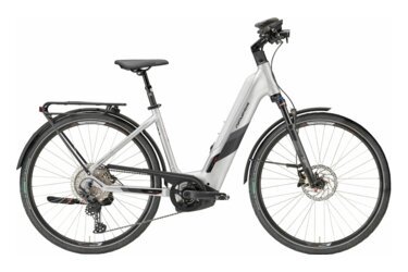 Silver Genesis e-bike, side view.