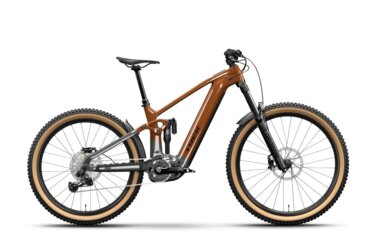 Brown Trek e-mountain bike