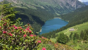 Berner Oberland und Westschweiz | © Gstaad Saanenland Tourismus