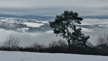 Rheinland-Pfalz Winter | © www.wikipedia.com