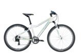 Hardtailbike Genesis weiss